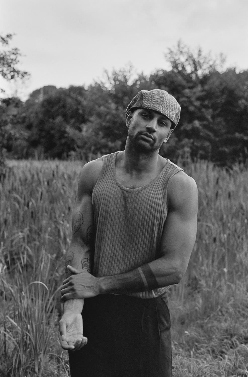 In the Fields cover